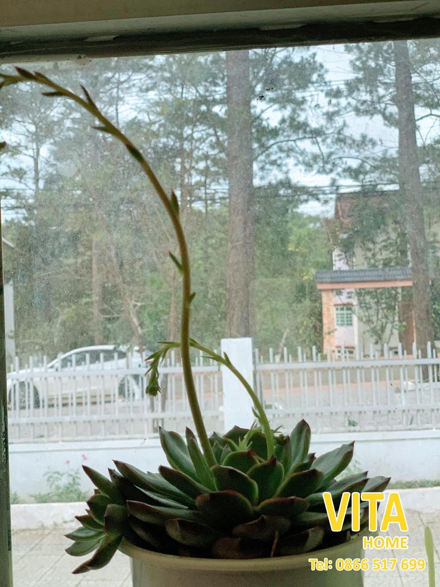 Vita Homestay Mang Den Kon Von Kla Esterno foto