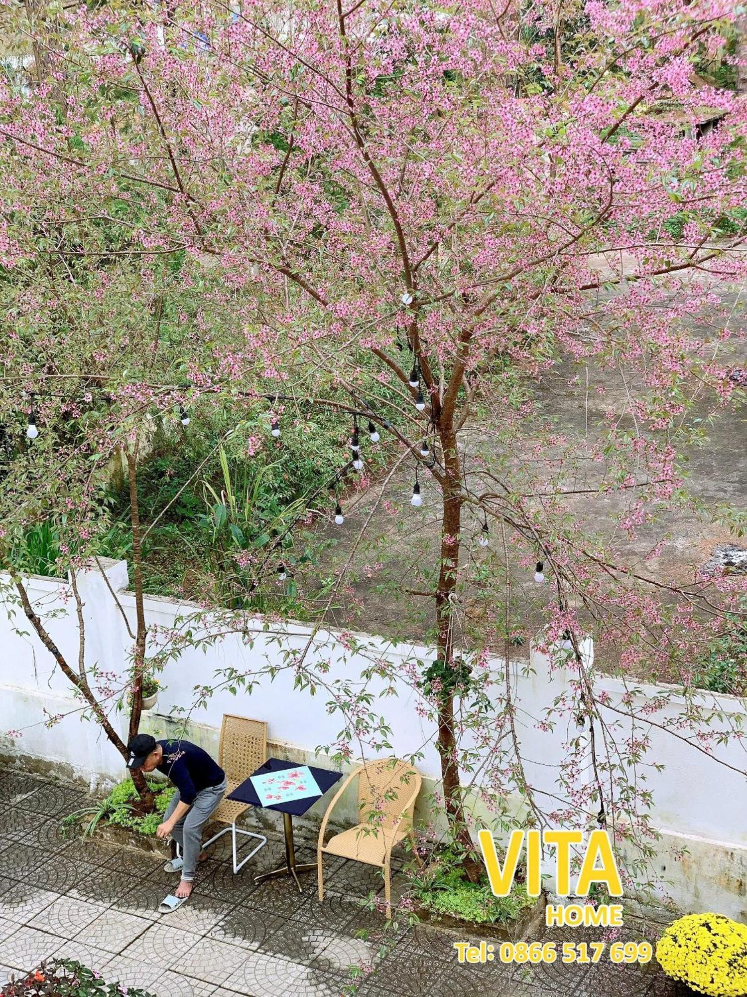 Vita Homestay Mang Den Kon Von Kla Esterno foto